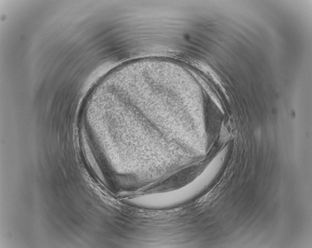 X0000069791072200606161752