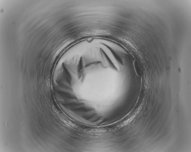 X0000069791073200606161752