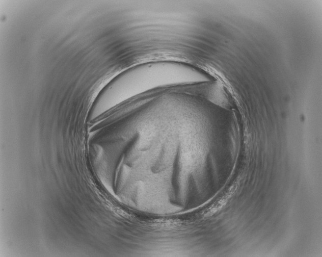 X0000069791081200606161752