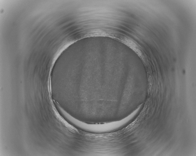 X0000069791084200606161752