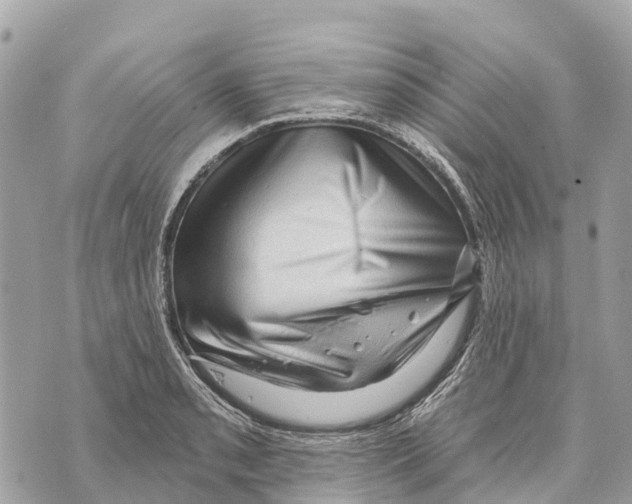 X0000069791085200606161752