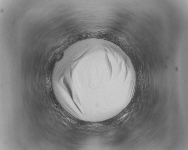 X0000069791109200606161751