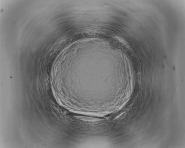 X0000069791111200606161751
