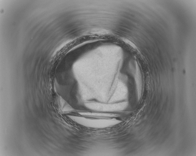 X0000069791112200606161751