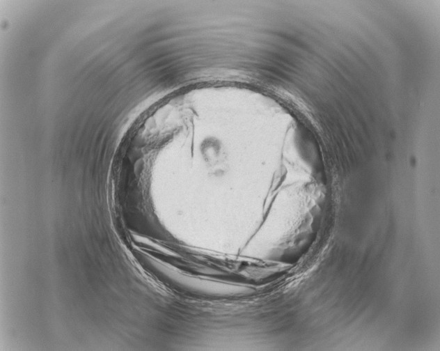 X0000069791125200606161751