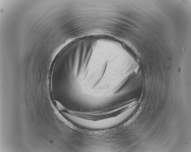 X0000069791134200606161751