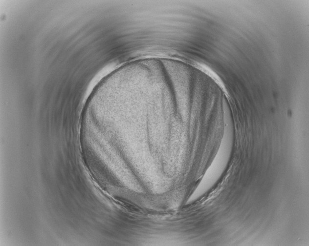X0000069791146200606161751