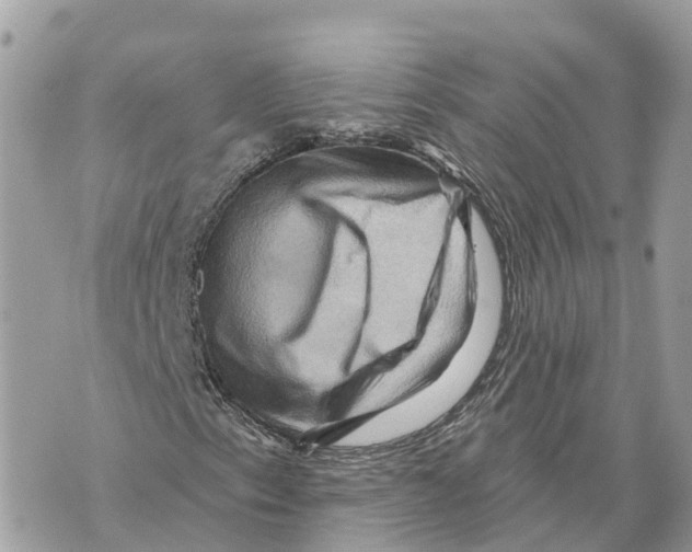 X0000069791153200606161751