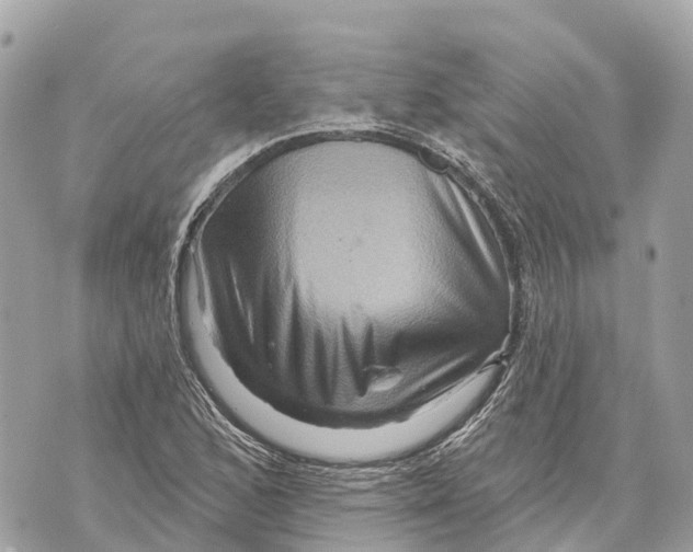 X0000069791168200606161750