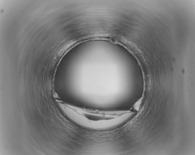 X0000069791169200606161750