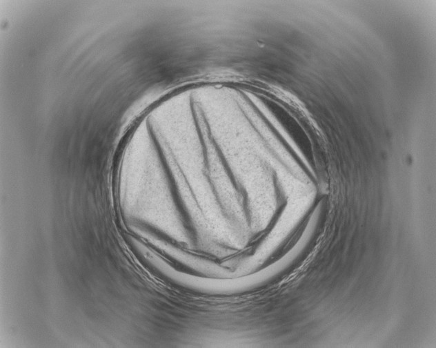 X0000069791176200606161750