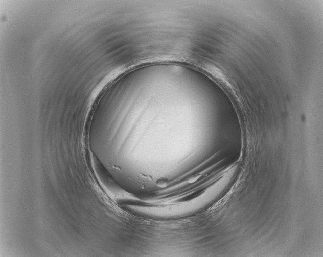 X0000069791181200606161750