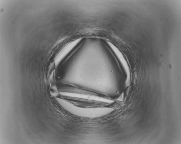 X0000069791206200606161749