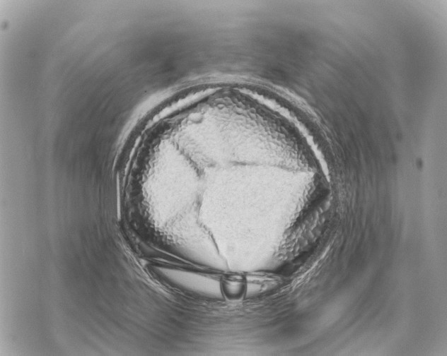 X0000069791223200606161750