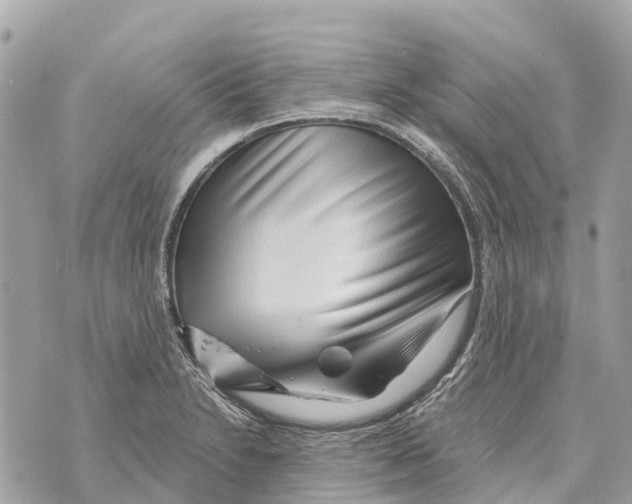 X0000069791230200606161750
