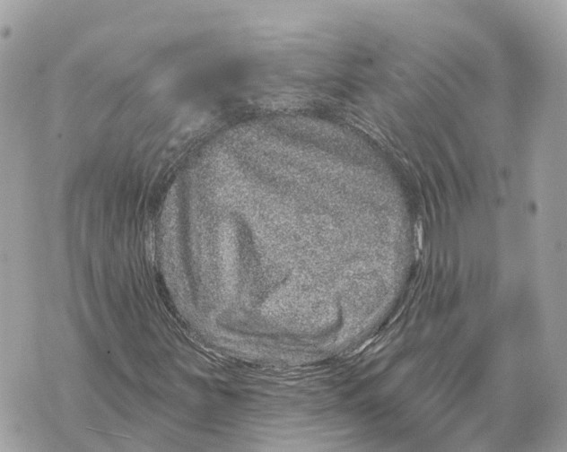 X0000069791251200606161749