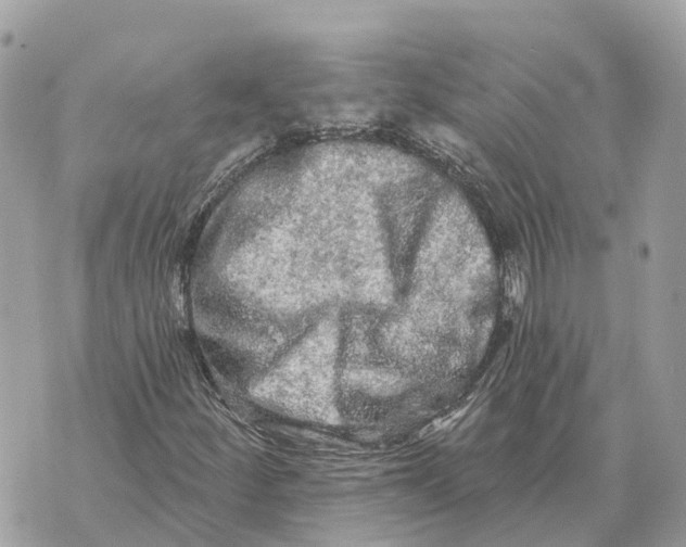 X0000069791252200606161749