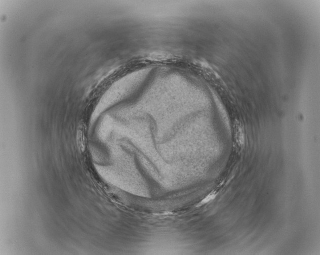 X0000069791253200606161749