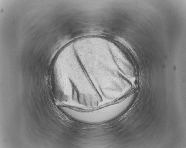 X0000069791260200606161749