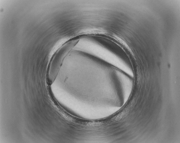 X0000069791277200606161749