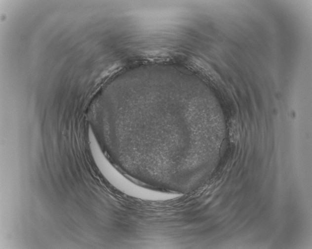 X0000069791298200606161748