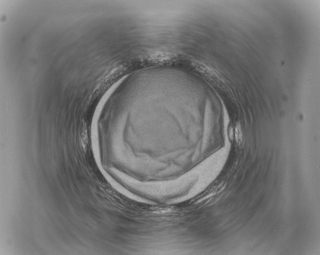 X0000069791299200606161748