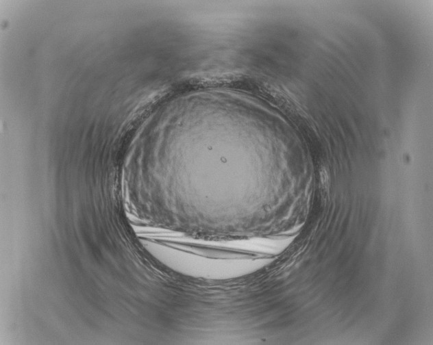 X0000069791300200606161748