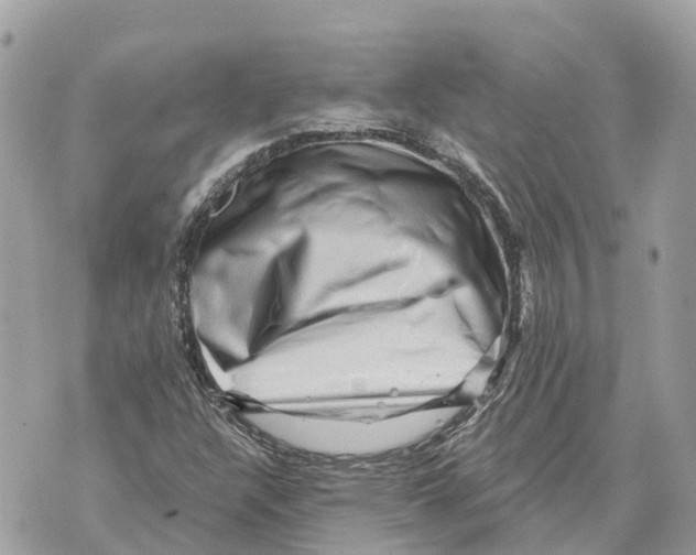 X0000069791304200606161748