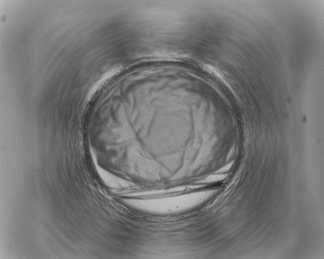 X0000069791307200606161748