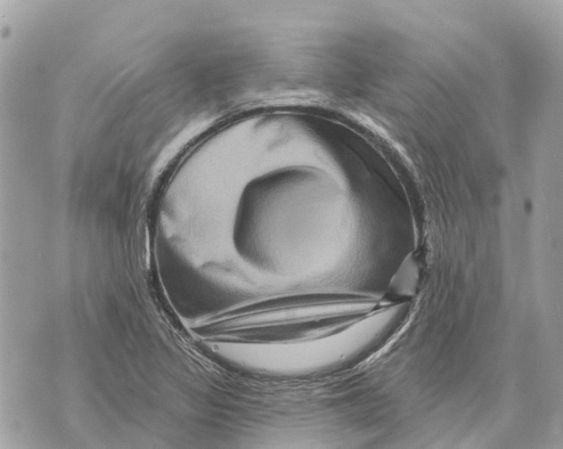 X0000069791317200606161748
