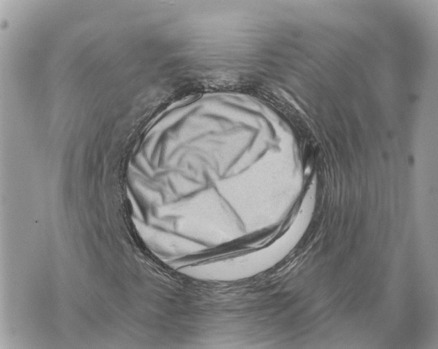 X0000069791345200606161748