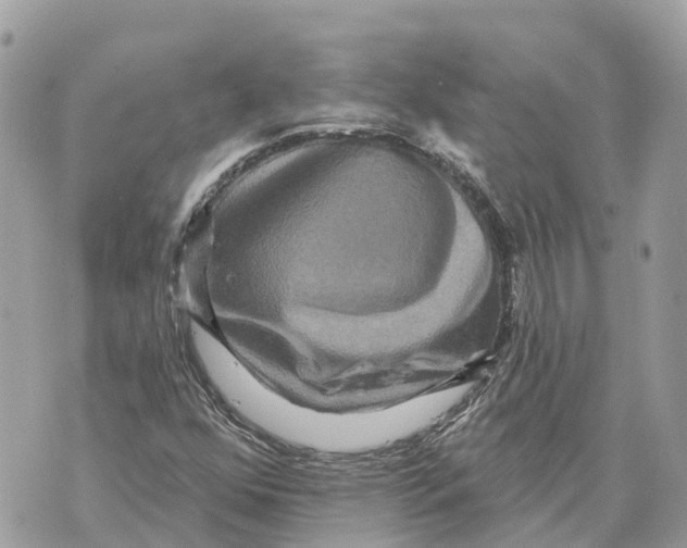 X0000069791352200606161747