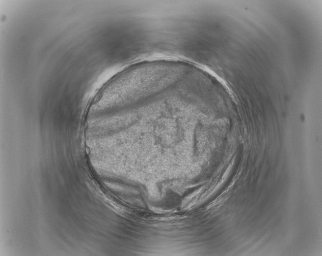 X0000069791367200606161747