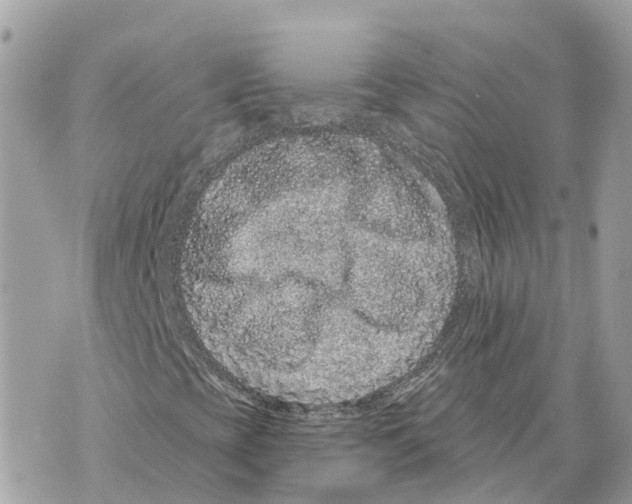X0000069791393200606161746
