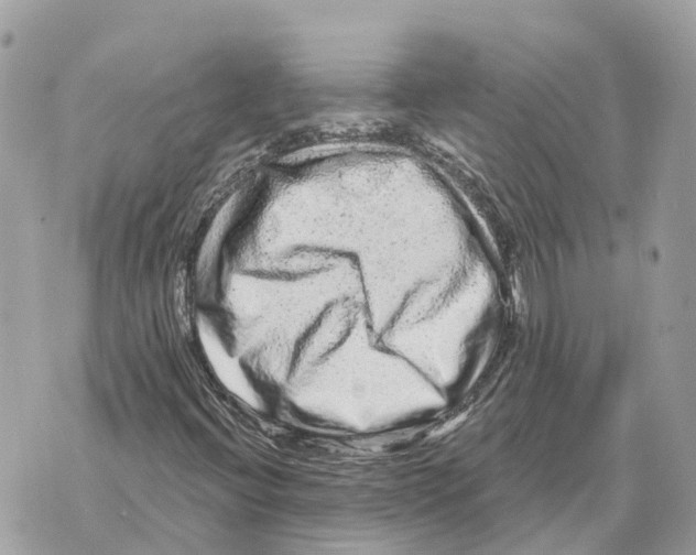 X0000069791396200606161746