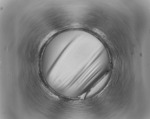 X0000069791410200606161746