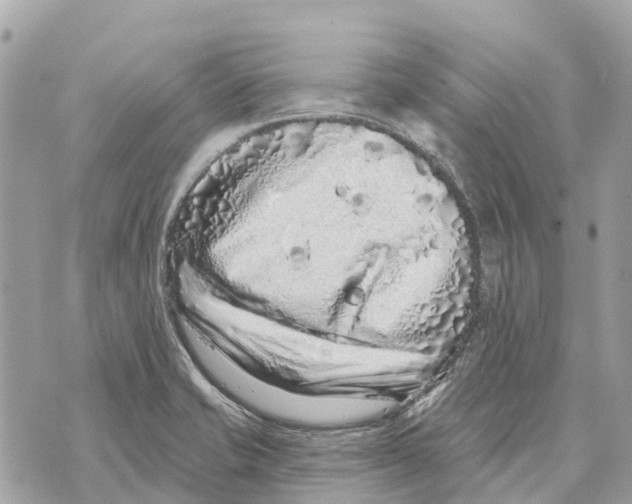 X0000069791421200606161746