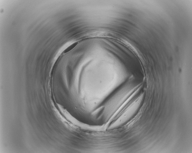 X0000069791434200606161747