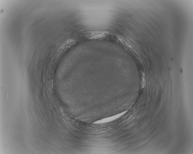X0000069791441200606161746