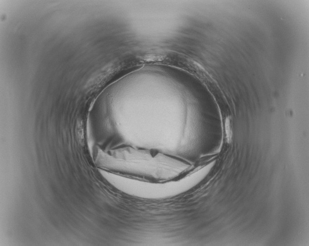 X0000069791443200606161746