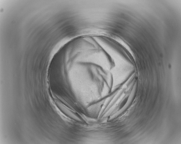 X0000069791485200606161745