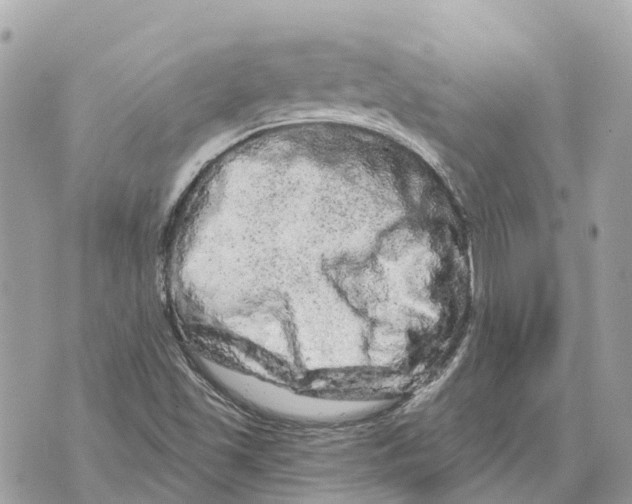 X0000069791501200606161745