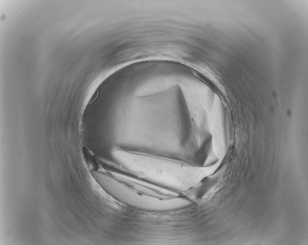 X0000069791532200606161745