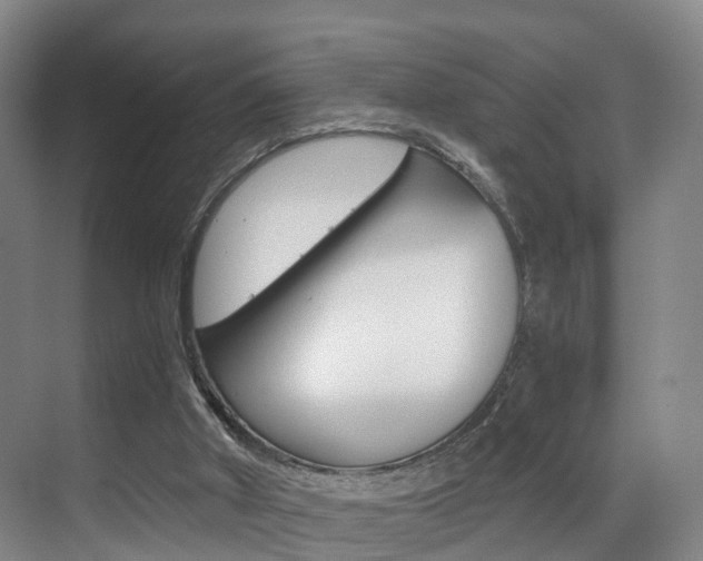 X0000069800010200605190921