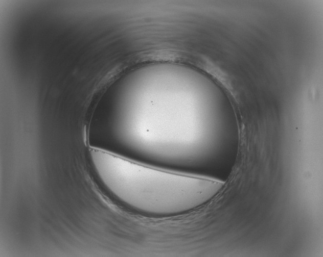 X0000069800013200605190921