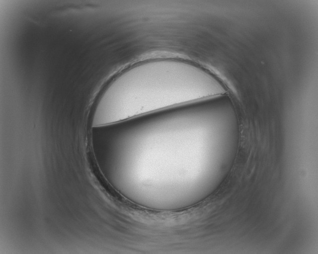 X0000069800015200605190921