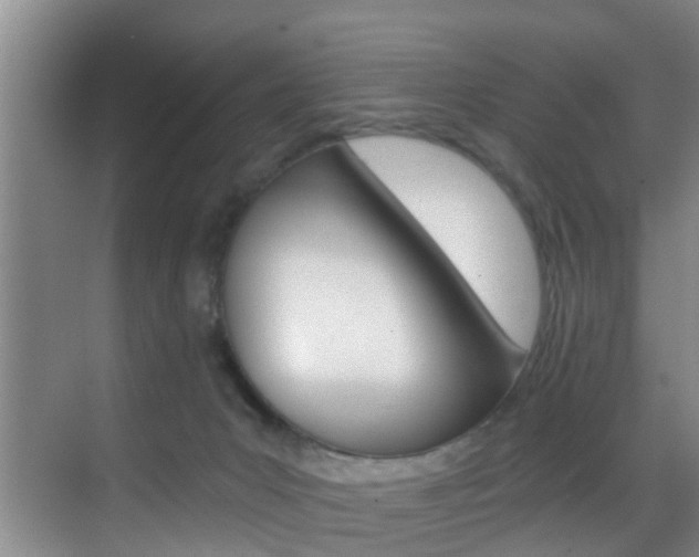 X0000069800031200605190921