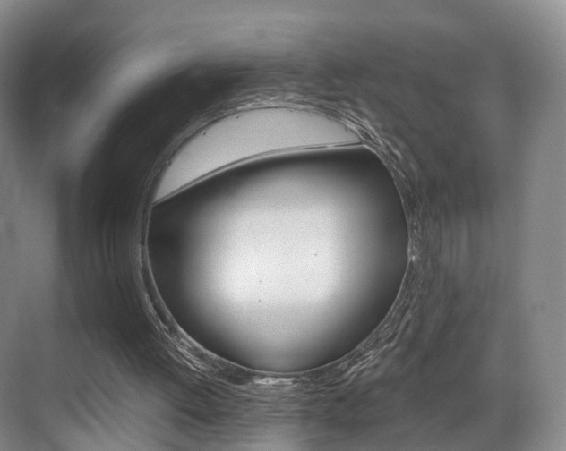 X0000069800052200605190920