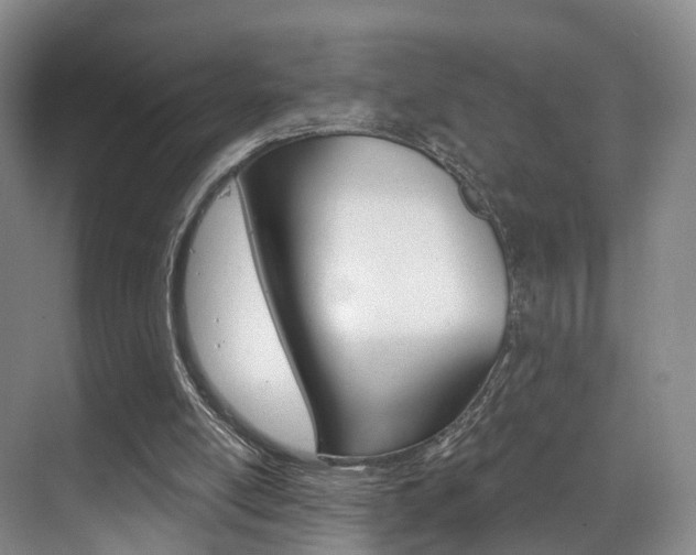 X0000069800054200605190920