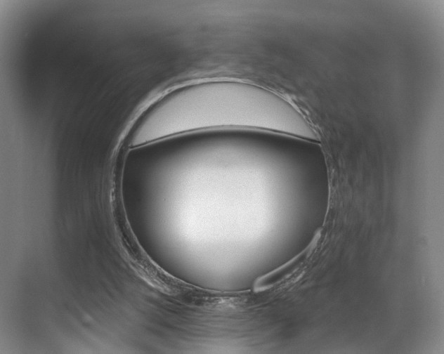 X0000069800056200605190920
